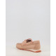 ZINNIA HV264603