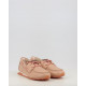 ZINNIA HV264603