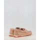 ZINNIA HV264603