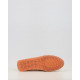 ZINNIA HV264603