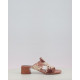 TULIPAN HV264841
