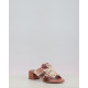 TULIPAN HV264841