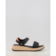 PENNOCK 78686 P