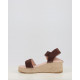 ANISA12
