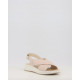 TANIA 1159300