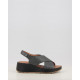 CAROLA 1163400