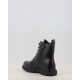 AG 17558