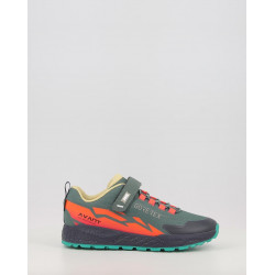 PIM GTX 2419099