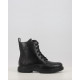 AG 17558