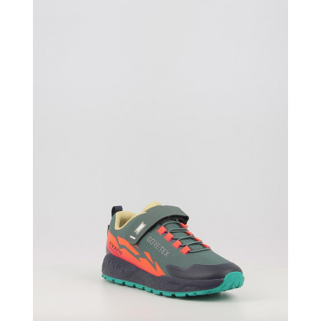 PIM GTX 2419099